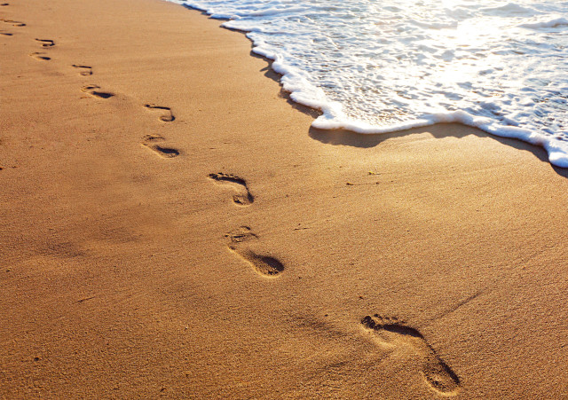 Beach footprints people sand ocean free wallpaper - medium preview image