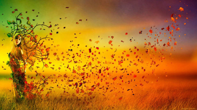 Woman field tree butterflies flying free wallpaper - medium preview image