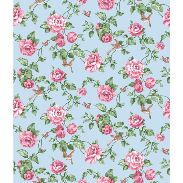 Blue background pink roses hummingbird free wallpaper - medium preview image