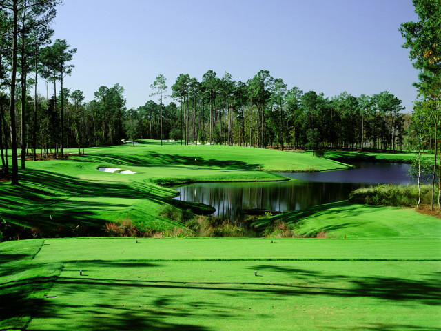 Golf pond trees sunny day free wallpaper - medium preview image