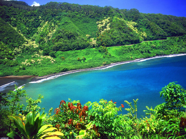Hawaii tropical ocean hills beach free wallpaper - medium preview image