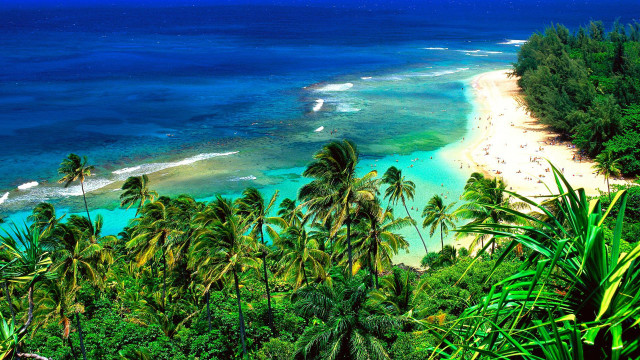 Beach trees water sand foreground free wallpaper - medium preview image