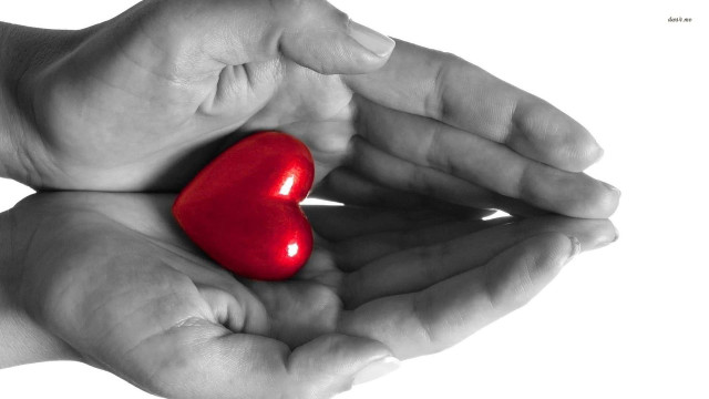 Hands holding red heart persons free wallpaper - medium preview image