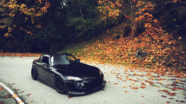 Black sports car fall leaves free wallpaper - medium preview image