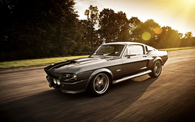 Mustang driving sunshine trees background free wallpaper - medium preview image