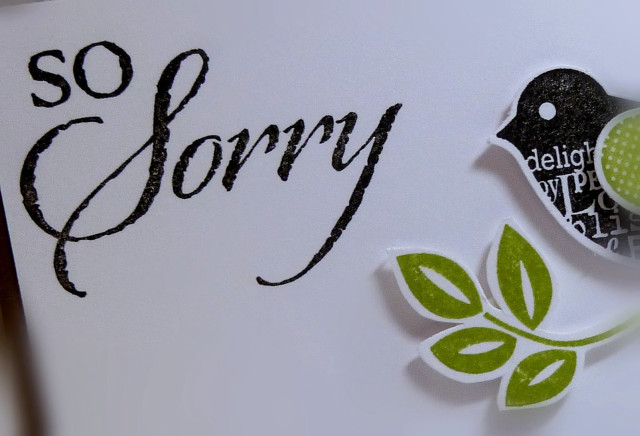 Bird sorry paper closeup image free wallpaper - medium preview image
