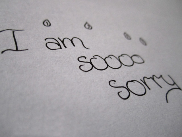 Close up paper apology note free wallpaper - medium preview image
