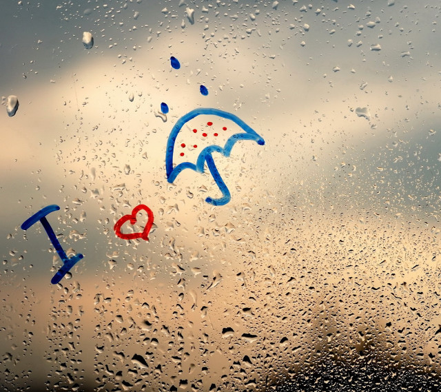 Rain covered window umbrella i free wallpaper - medium preview image