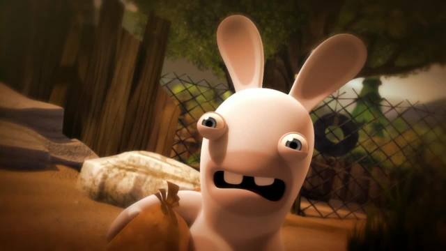 Cartoon rabbit funny face big free wallpaper - medium preview image