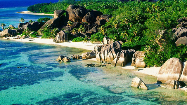 Beach rocks trees water blue free wallpaper - medium preview image
