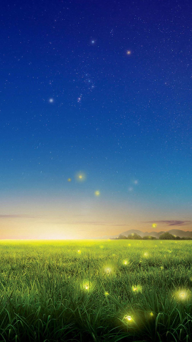 Field grass fireflies night sky #2 free wallpaper - medium preview image