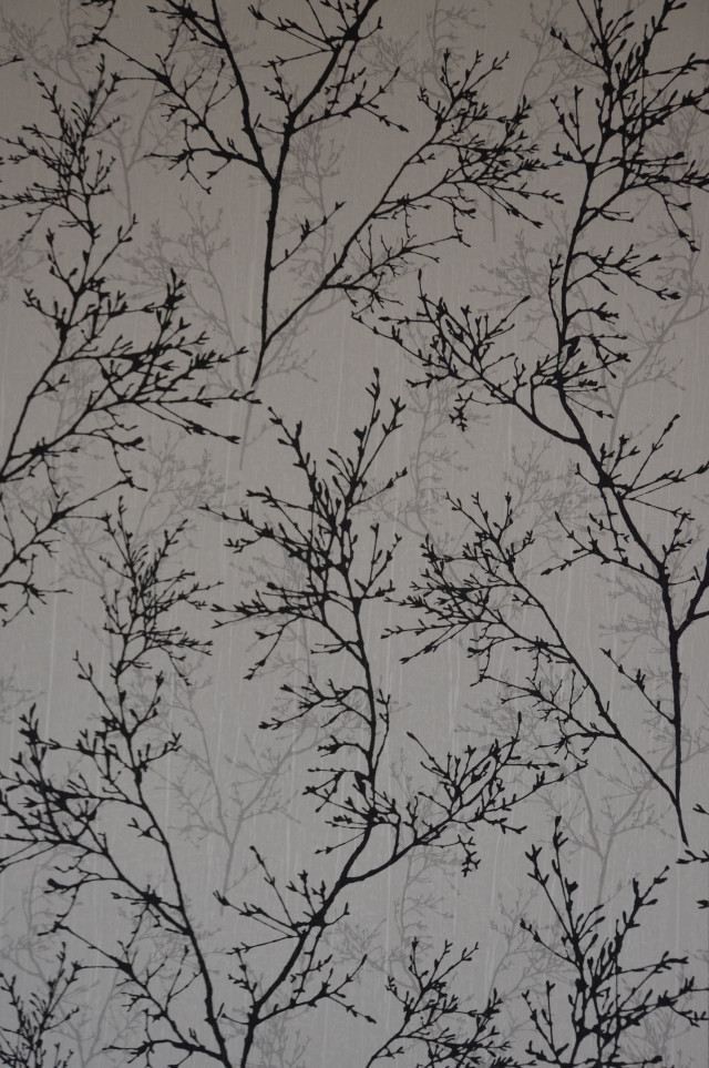 Tree branch no leaves wallpaper free wallpaper - medium preview image