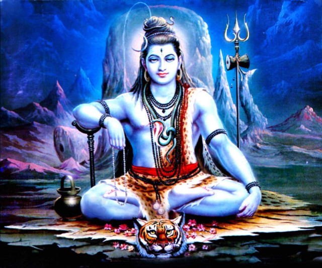 Person lotus position tiger sitting free wallpaper - medium preview image