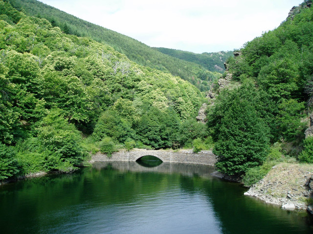 Bridge river trees mountain range free wallpaper - medium preview image