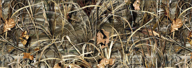 Cat dead plants wall photorealism free wallpaper - medium preview image