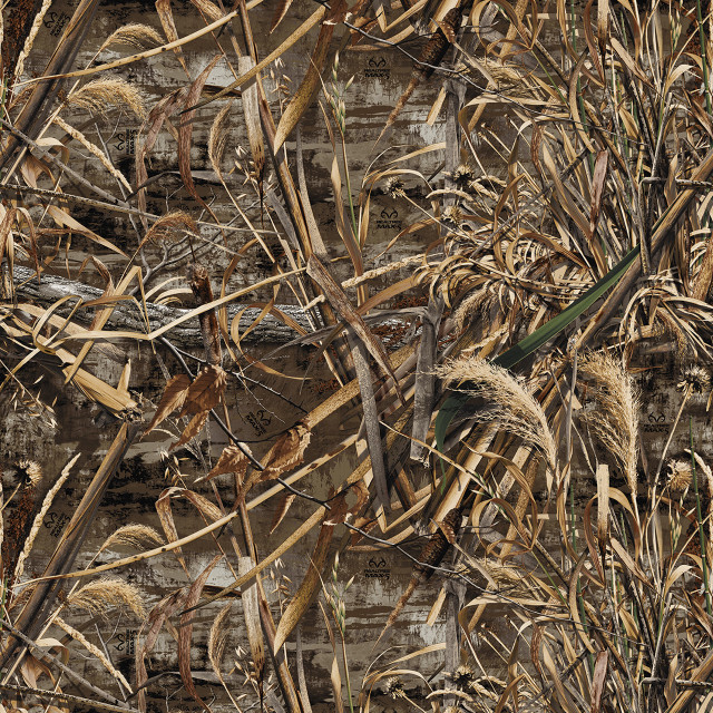 Bird branch deadgrass brickwall photorealism free wallpaper - medium preview image
