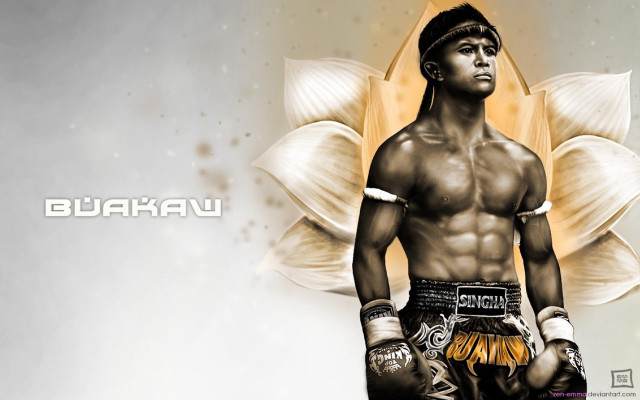 Man boxing glove flower wallpaper free wallpaper - medium preview image