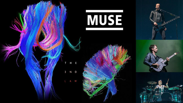 Man guitar colorful feather neon free wallpaper - medium preview image