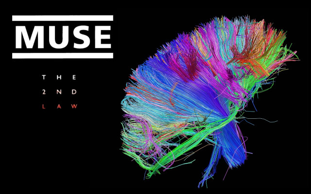 Colorful brain museum the 2nd free wallpaper - medium preview image