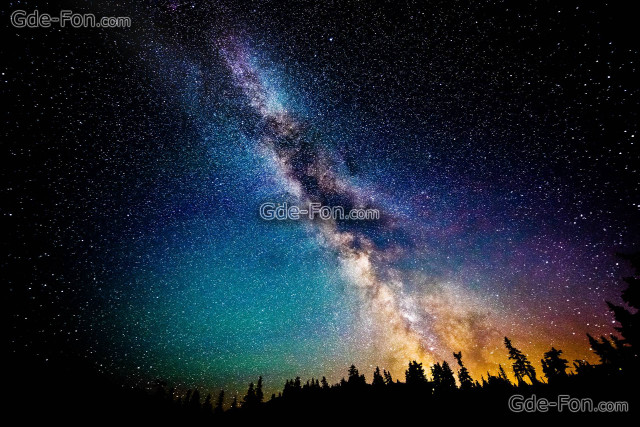Night sky milky way pine free wallpaper - medium preview image