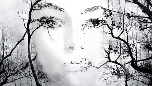 Woman face trees branches snow free wallpaper - medium preview image