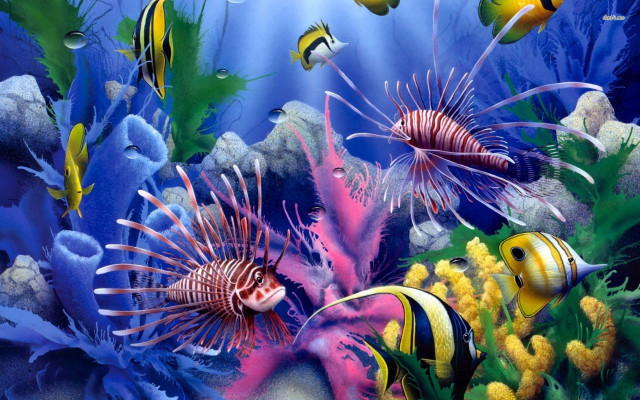 Sea life fish corals water free wallpaper - medium preview image
