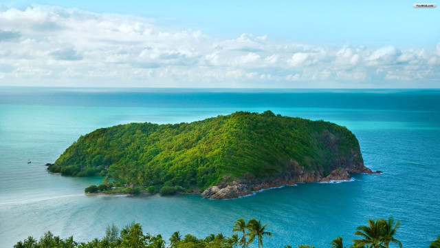 Small island palm trees blue #3 free wallpaper - medium preview image