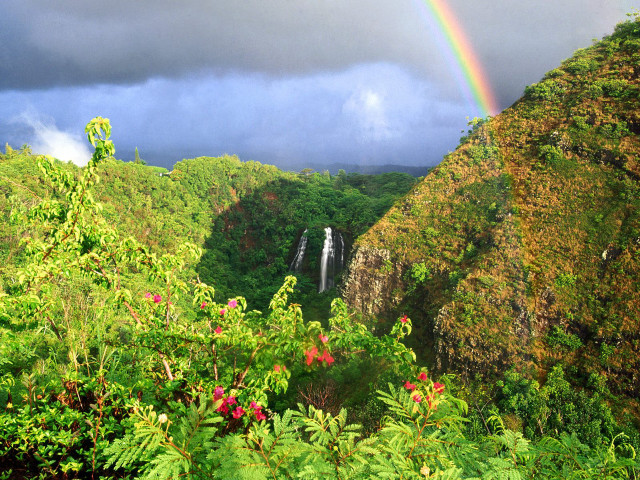 Rainbow waterfall jungle lush flowers free wallpaper - medium preview image