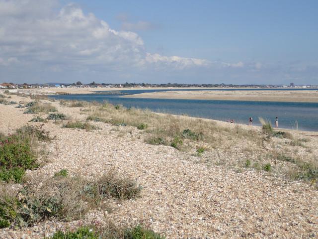 Beach water people walking bushes free wallpaper - medium preview image