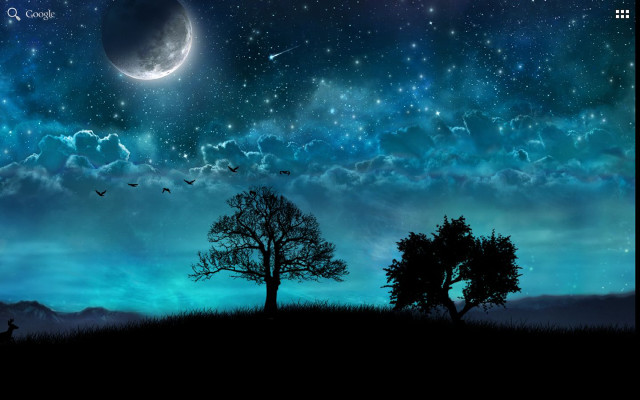 Night sky tree moon bird free wallpaper - medium preview image