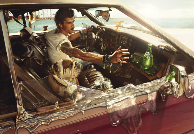 Man driving car dog passenger #2 free wallpaper - medium preview image
