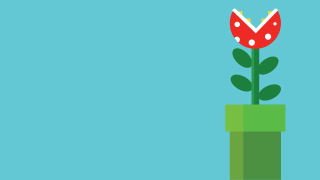 Flower pot blue background red free wallpaper - medium preview image