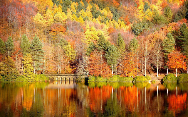 Lake autumn trees bridge reflection free wallpaper - medium preview image