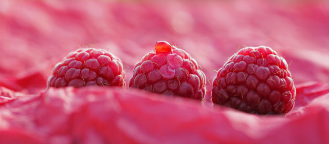 Three raspberries sitting in pink free wallpaper - medium preview image