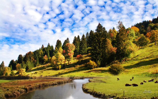 River lush green hillside trees free wallpaper - medium preview image