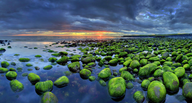 Beach green algae cloudy sky free wallpaper - medium preview image