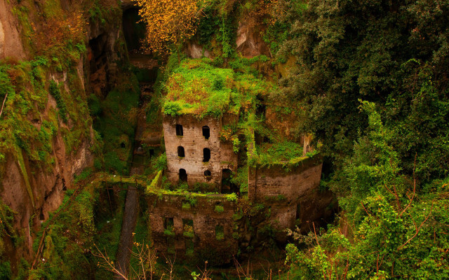 Cliff house trees bushes narrow free wallpaper - medium preview image