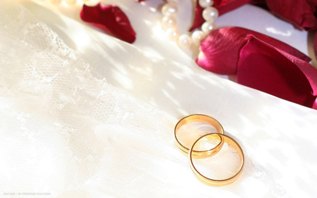 Wedding rings white cloth red free wallpaper - medium preview image