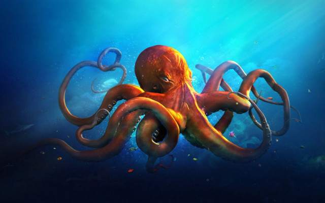 Octopus swimming ocean tentacles stretched free wallpaper - medium preview image