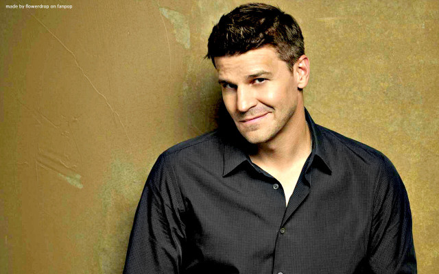 Man black shirt smiling gold free wallpaper - medium preview image