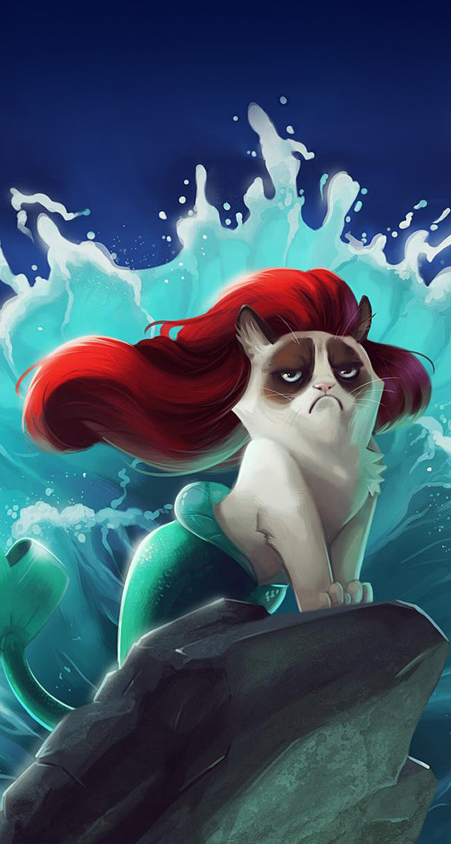 Cat sitting rock ocean wave free wallpaper - medium preview image