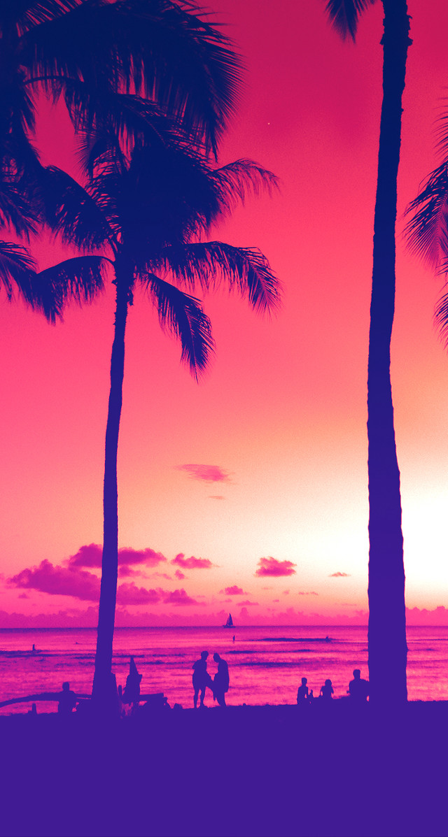 Beach walkers palm trees sunset free wallpaper - medium preview image