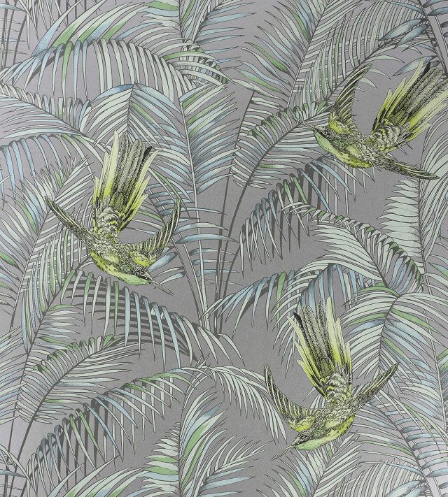 Green bird palm leaves gray free wallpaper - medium preview image