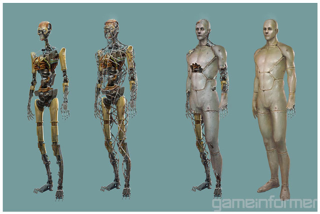 Human body parts group three free wallpaper - medium preview image