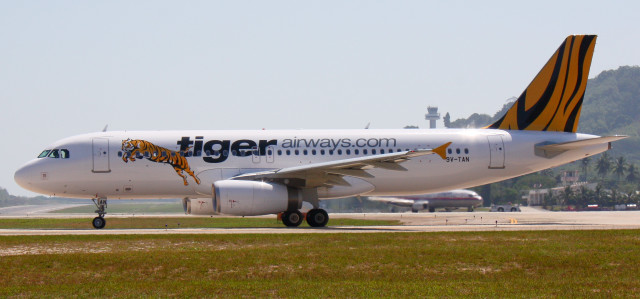 Tiger airplane runway front view free wallpaper - medium preview image