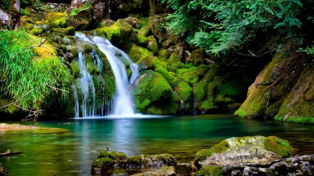 Waterfall forest mossy rocks trees #17 free wallpaper - medium preview image