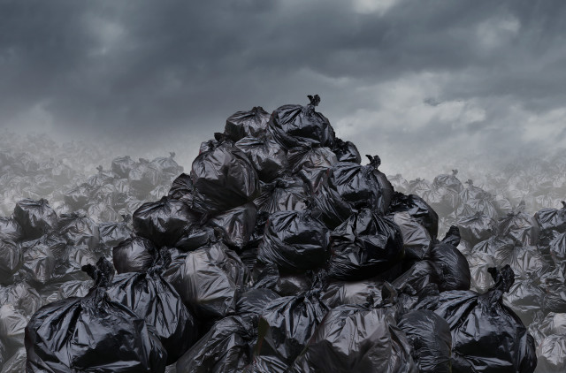 Black trash bags field bird free wallpaper - medium preview image