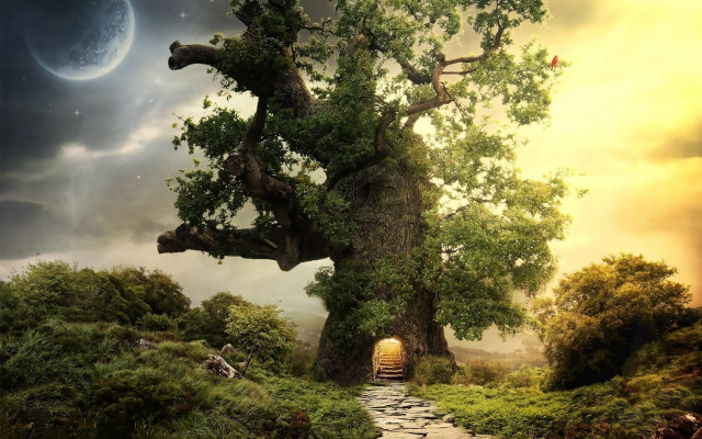 Tree tunnel grass rocks nature free wallpaper - medium preview image