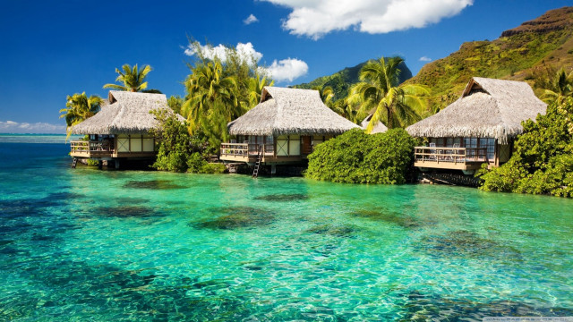Huts hillside ocean lush green #3 free wallpaper - medium preview image