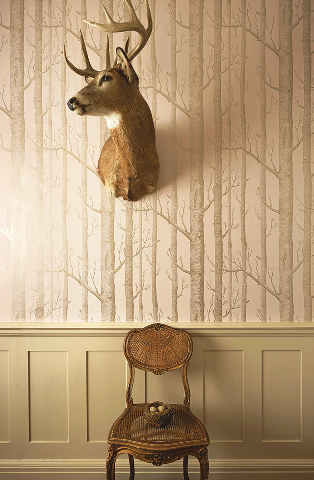 Deer head wall mounted chair free wallpaper - medium preview image